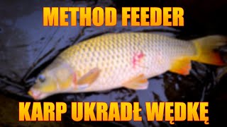 METHOD FEEDER KARP UKRADŁ WĘDKĘ karp methodfeeder [upl. by Aprile]