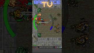 Tibia Domando Crystal Wolf 2024 tibia mmorpg [upl. by Lurline]