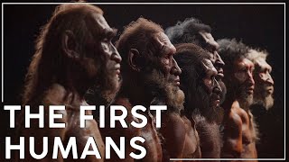 Why is The Paleolithic The Longest Era of Human History [upl. by Borries966]