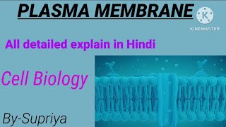 Plasma membrane Structure and function  Cell Biology  life science [upl. by Teddy]