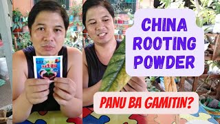 How to use Rooting powder from China  Shoppee Rooting powder form China [upl. by Ellekcir]