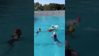 Water polo game weekly once fun🥳 swimming waterpolo tamil [upl. by Ynnij]