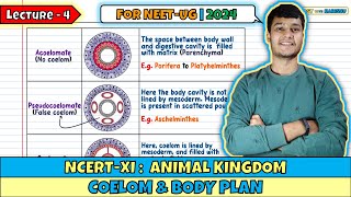 Lec 4 Coelom amp Body Plan Animal Kingdom Class 11 NEET 2024 [upl. by Alithea536]