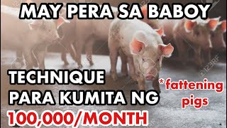 KUMITA NG 100K KADA BUWAN SA PAGAALAGA NG BABOYNEGOSYO PHILIPPINES [upl. by Aiehtela66]