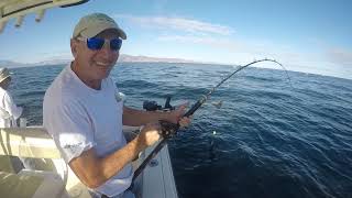 Wide open Yellowtail fishing in Loreto BCS [upl. by Uriia829]