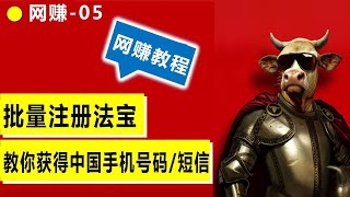 教你如何获得中國大陸手機號碼及接收短信，批量获得大陆手机号 [upl. by Chaudoin851]