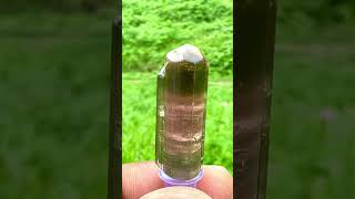 Natural Bicolor Tourmaline Crystal tourmaline tourmalinecrystal crystals gemstone short viral [upl. by Nivart]