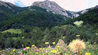 DOINA DIN BUCOVINA amp BATRANEASCA ☆ Caval Playing [upl. by Londoner]