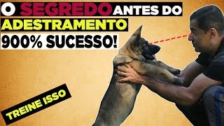 O SEGREDO QUE FAZEMOS ANTES DO ADESTRAMENTO É SÓ SUCESSO [upl. by Adall731]