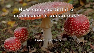 How can you tell if a mushroom is poisonous [upl. by Cassius]