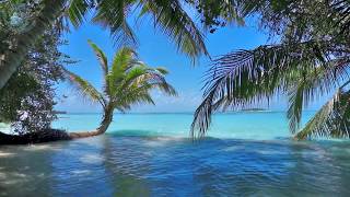 🌴 Ocean Ambience on a Tropical Island Maldives with Soothing Waves amp Paradise View for Relaxation [upl. by Sajovich186]