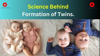 Science Behind Formation of Twins [upl. by Ycrad]