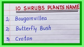 Shrub Plants Name in English  10 Name of Shrub Plants  List of Shrubs [upl. by Airom]