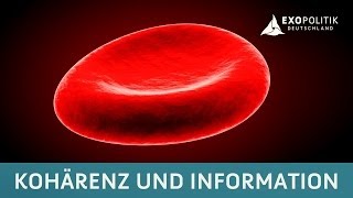 Kohärenz als Grundprinzip biophysikalischer Informationsprozesse  Vortrag Prof Dr Fritz A Popp [upl. by Idac]