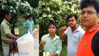 Murmure Namkeen Salted Puffed Rice or Masala Muri recipe popular street food Tk 10 People Enjoying [upl. by Arobed]