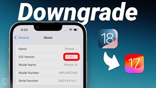 Updated How to Downgrade iOS 1817 to iOS 1716 Without Data Loss  2 Ways  2024 Updated [upl. by Bernete]