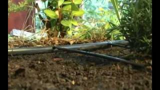 Drip Irrigation Kit  Garden BedsSoaker Dripline [upl. by Pepita]