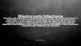 Medical vocabulary What does Blastocystis Infections mean [upl. by Grannias]