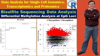 Bisulfite Sequencing Data Analysis Differential Methylation Analysis at CpG Loci [upl. by Goerke]