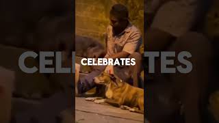 Best dogs reactions celebrating the humble birthday of their beloved owners [upl. by Haeckel]