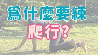 為什麼要練爬行 教你快速學會爬行 ▏北木健身 [upl. by Allcot]