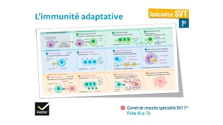 eSVT La réaction immunitaire adaptative [upl. by Langsdon]