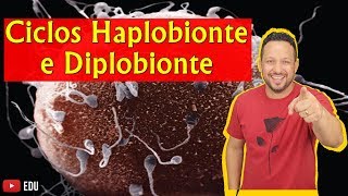 Ciclos de vida e tipos de meiose  Apêndice 01  Módulo I Biologia Celular  Prof Gui [upl. by Artimas]