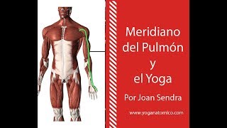 MERIDIANO DEL PULMÓN Y EL YOGA [upl. by Ecidnak]