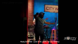 James Ross  Musiq Soulchild  quotLive In St Louisquot  wwwJrosstvcom St Louis [upl. by Annod]