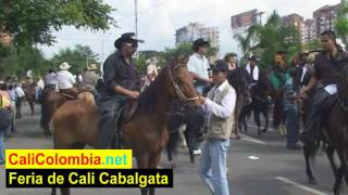 Feria de Cali  Horse Parade  Colombia [upl. by Hsirehc]