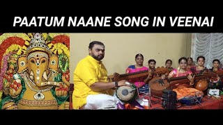 Pattum Nanne Song In Veenai  Thiruvilayadal Movie  Veenai PKShuveatha veenai music carnatic [upl. by Otsugua]