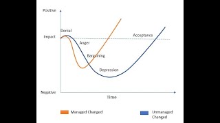 Kubler Ross Change Curve I Part 2 by 99operations [upl. by Winther]