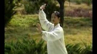 Tai Chi 42 Forms Part 2  Teach [upl. by Luo]