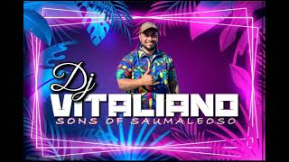 DJ VITALIANO X Lesa Lio Tuanai  FASIA I MAFAUFAUGA REMIX 2023 [upl. by Assedo419]