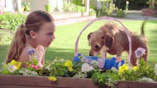 PetSmart commercial quotBasket of Savingsquot [upl. by Jesher]