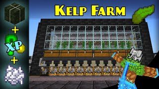 0 Tick KELP FARM Bonemeal XP  Minecraft Bedrock Farm Tutorial  MCPE XBOX PS SWITCH [upl. by Eberta989]