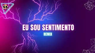 Luan Santana  Luan Pereira  Eu sou sentimento  REMIX [upl. by Ainotahs]