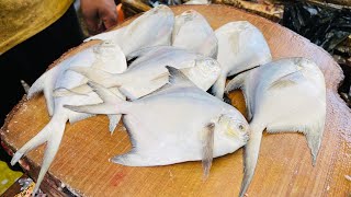 Huge pomfret fish cutting  fish market Indore [upl. by Adiam]