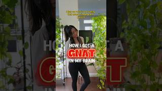 How I Got a GNAT in my BRAIN shorts houseplants plantcare indoorplants gnat plantmom tips [upl. by Tanya]