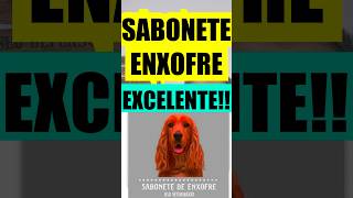 Sabonete de ENXOFRE ✅EXCELENTE cachorro cachorros petshop pets pet petcare cachorro [upl. by Alor]