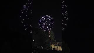 fireworksfestival viral foryou highlights Fireworks USA [upl. by Taffy218]