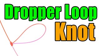 Dropper Loop Knot  Step By Step Tying Instructions  Fly Fishing Knots [upl. by Costanzia]