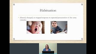 Habituation amp Dishabituation in developmental psychology  with Dr Z [upl. by Llenor]