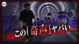 【心霊】再心霊掃除依頼  生配信中に “ヤバすぎる奇声” が聞こえた横須賀の心霊トンネル [upl. by Biddy]