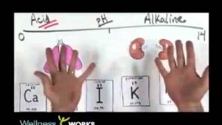 Alkaline  Acid pH Balanced Diet Explained [upl. by Trixi]