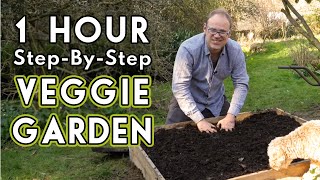 New Vegetable Garden How To Get Started [upl. by Aisinoid]