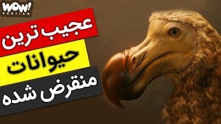 برترین ها  10 تا از برترین و جالبترین حیوانات منقرض شده تاریخ [upl. by Albemarle]