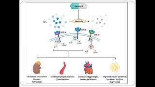 Angiotensin Receptor Aldosterone Antagonist ARNI Latest ESC Guidelines 2021 [upl. by Gilberta14]