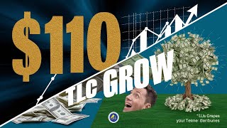 TLC Coin Return 7730 In One Month  Reality of Tlc Coin  India NO1 Crypto Currency Project [upl. by Teece]