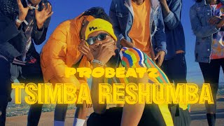 PROBEATZ  Tsimba ReShumba Captain Mfombi Soundtrack Official Music Video [upl. by Moffat]